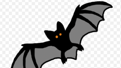 Halloween:B4pbvbkqzhg= Bats