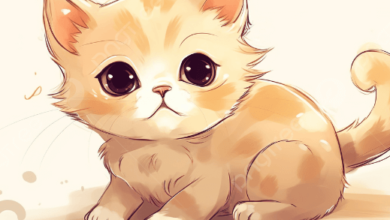 Kawaii:Mdxrjkgre8i= Kittens