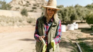 blind frog ranch lawsuit details