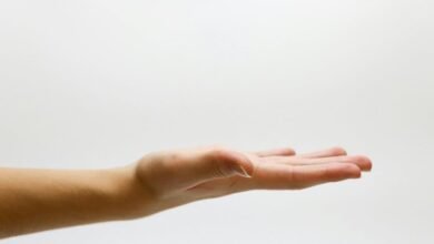 support request case details