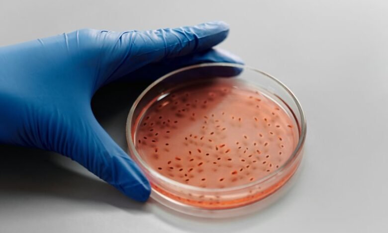 sector growth analysis report